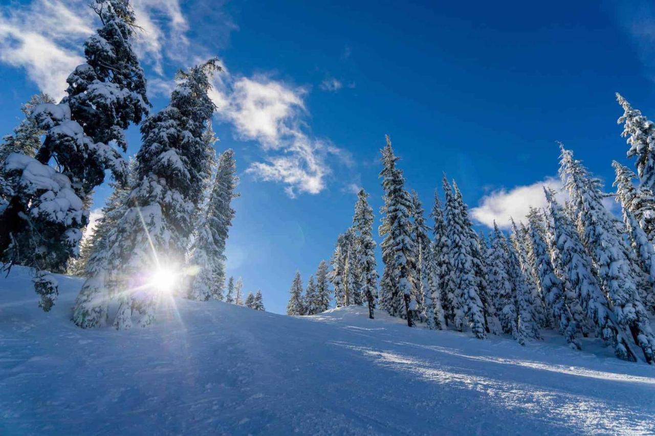 Hotel Savoy Sestriere Bagian luar foto